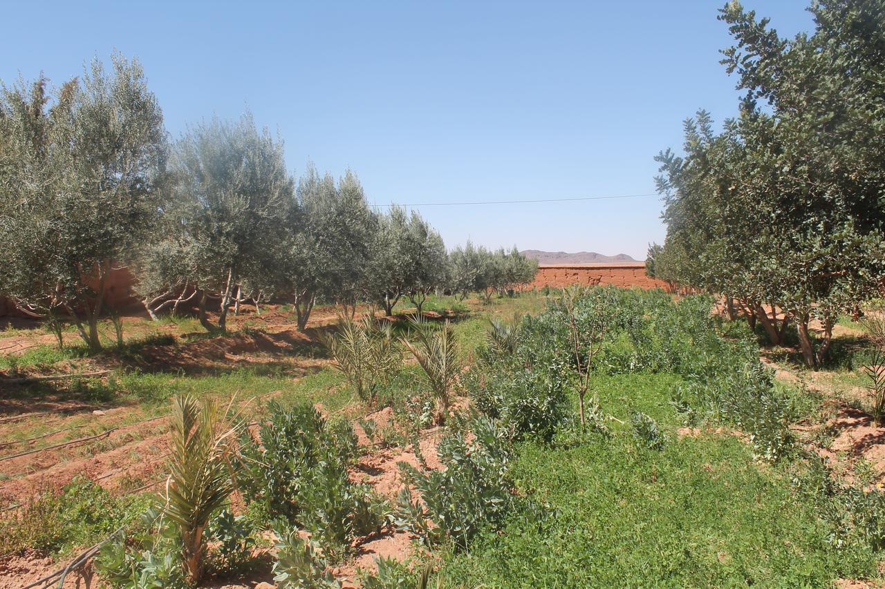 Dar Alfourssane Ferme D'Hote Ouarzazate Exterior foto